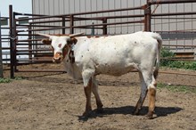 SL FULL OF CHIT CHAT