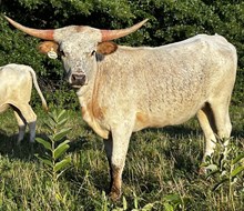 DJ's Paytons Dancing Queen