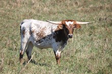 20/20 That&#39;s A Fact