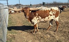 M2 SWEET CAROLINE 2022 🇺🇸