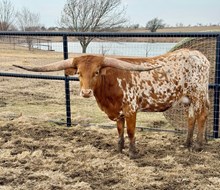 RC RARE JEWEL 🇺🇸